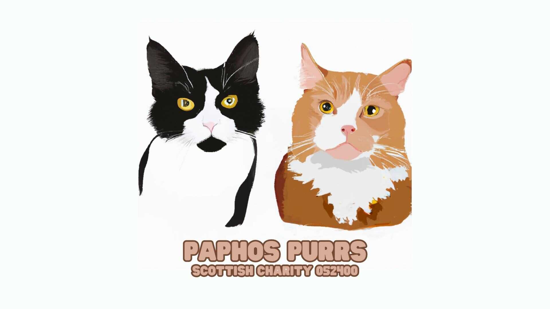 Paphos Purrs Cat Charity
